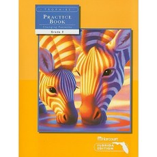 Trophies: Florida Edition Changing Patterns Practice Book Grade 3 Paperback, Harcourt School Publishers