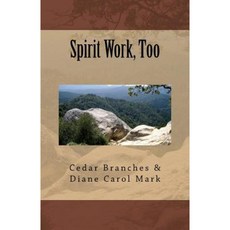 精神工作太平裝本, Createspace獨立發布平台