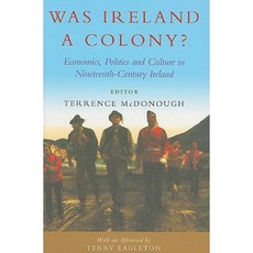 Was Ireland a Colony?: Economics Politics and Culture in Nineteenth-Century Ireland Paperback, Irish Academic Press
