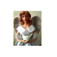 Martha's Miracle Paperback, Blurb