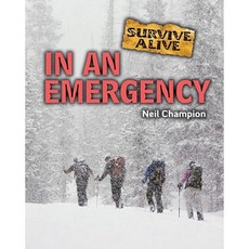 緊急圖書館綁定, 一個朋友