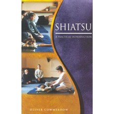 Shiatsu: A Practical Introduction Paperback, Random House UK