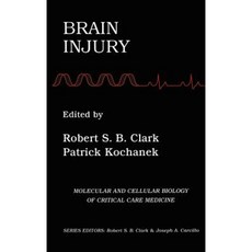 Brain Injury Hardcover, Springer