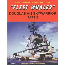 Fleet Whales Douglas A-3 Skywarrior - Part 2 Paperback, Steve Ginter