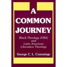 A Common Journey: Black Theology (Usa) and Latin American Liberation Theology Hardcover, Orbis Books