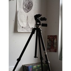 亞瑟·佩恩：沒什麼 沒什麼 沒什麼 2004-2007 平裝本, 卡爾瑪, 紐約