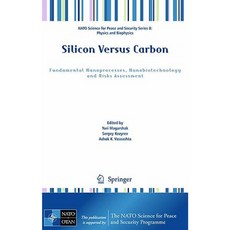 矽與碳：基本奈米製程奈米生物技術與風險評估精裝本, 施普林格