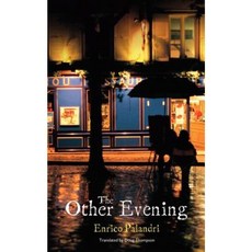 The Other Evening Paperback, Troubador Publishing