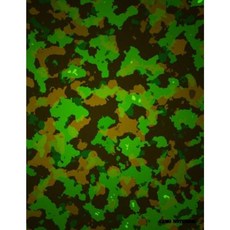 Camo Notebook: Midnight Forest Camouflage 144 Pages Paperback, Createspace Independent Publishing Platform