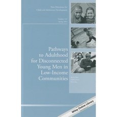 Pathways to Adulthood for Disconnected Young Men in Low-Income Communities Paperback, Jossey-Bass
