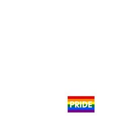 Pride - Fitness Tracker: (6 X 9) Exercise Journal 90 Pages Durable Matte Cover Paperback, Createspace Independent Publishing Platform