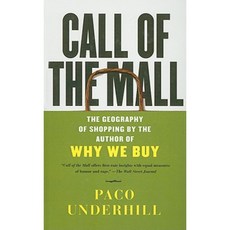 Call of the Mall Prebound, Perfection Learning