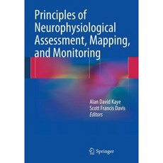 Principles of Neurophysiological Assessment Mapping and Monitoring Paperback, Springer