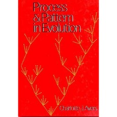 Process and Pattern in Evolution Hardcover, Oxford University Press, USA