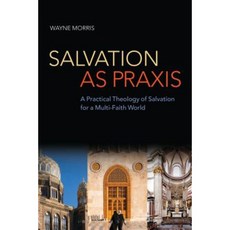 Salvation as Praxis: A Practical Theology of Salvation for a Multi-Faith World Paperback, T & T Clark International