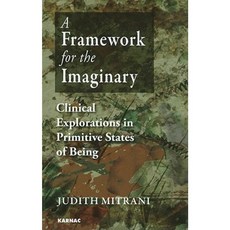A Framework for the Imaginary: Clinical Explorations in Primitive States of Being Paperback, Karnac Books