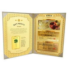 럭키심볼 행운의 네잎 클로버 생화 + 황금 지폐 3종 세트, 일확천금