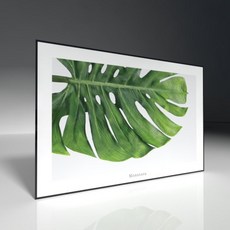Myungsin Renown Wellroom 廚房畫板 Monstera 2, 1個