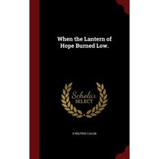 When the Lantern of Hope Burned Low. Hardcover, Andesite Press