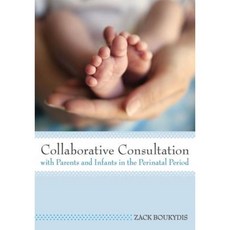 Collaborative Consultation with Parents and Infants in the Perinatal Period Paperback, Brookes Publishing Company
