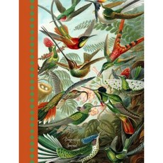 Composition Journal - Bird Illustrations: Student Notebook - 100 College Ruled Pages Paperback, Createspace Independent Publishing Platform