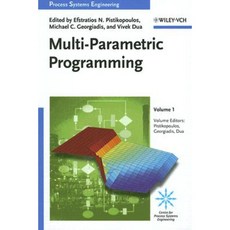 多參數規劃：理論演算法與應用精裝本, 威利-Vch