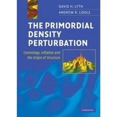The Primordial Density Perturbation Hardcover, Cambridge University Press
