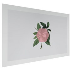 Myungsin Renown 衛生間廚房藝術板月桂粉, 1個