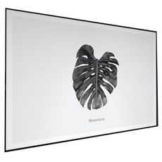 Well Room廚房藝術板 黑色龜背芋, 1個