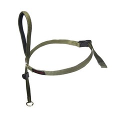 WILD DOG 狗溫柔的領導訓練皮帶 S, 卡其色