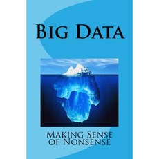 Big Data - Making Sense of Nonsense Paperback, Createspace Independent Publishing Platform