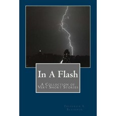 In a Flash: A Collection of Very Short Stories Paperback, Solari Publishing Group