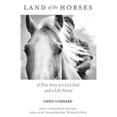 Land of the Horses: A True Story of a Lost Soul and a Life Found Paperback, Mill City Press, Inc.