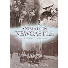 Animals in Newcastle: An Illustrated History Paperback, Tempus