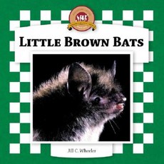 Little Brown Bats Library Binding, Checkerboard Books