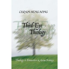 Third-Eye Theology Paperback, Wipf & Stock Publishers