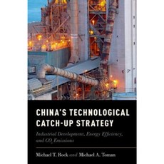China's Technological Catch-Up Strategy: Industrial Development Energy Efficiency and Co2 Emissions Hardcover, Oxford University Press, USA