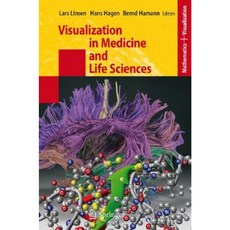 Visualization in Medicine and Life Sciences Hardcover, Springer