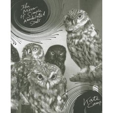 The Mirror of Simple Annihilated Souls Paperback, Victoria University Press