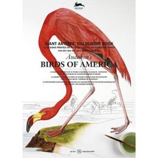 Audubons Birds of Amer Paperback, Pepin Press