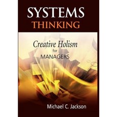 Systems Thinking: Creative Holism for Managers Hardcover, Wiley