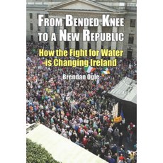 From Bended Knee to a New Republic Paperback, Liffey Press
