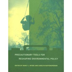 Precautionary Tools for Reshaping Environmental Policy Paperback, Mit Press