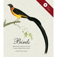 Birds: Mini Archive with DVD Paperback, Harper Design