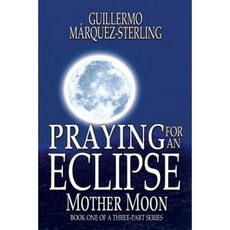 Praying for an Eclipse: Mother Moon Paperback, Black Rose Writing