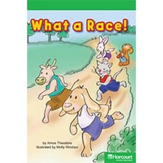 Storytown: Above Level Reader Teacher's Guide Grade K What a Race? Hardcover, Harcourt School Publishers