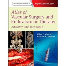 Atlas of Vascular Surgery and Endovascular Therapy: Anatomy and Technique Hardcover, Saunders