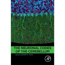 The Neuronal Codes of the Cerebellum Paperback, Academic Press