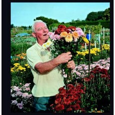 Allotments Hardcover, Dewi Lewis Publishing