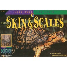 Look Once Look Again: Skin & Scales Paperback, Creative Teaching Press